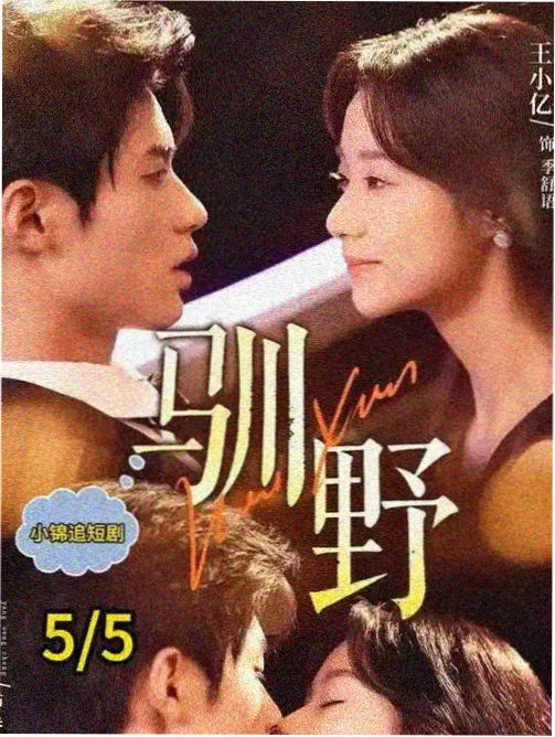 悬疑剧集雾港观测日志的场景占位图